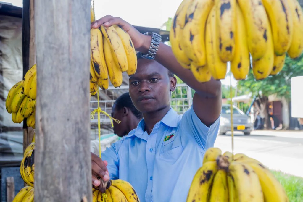 Goodwell Invests $2M in East Africa Fruits