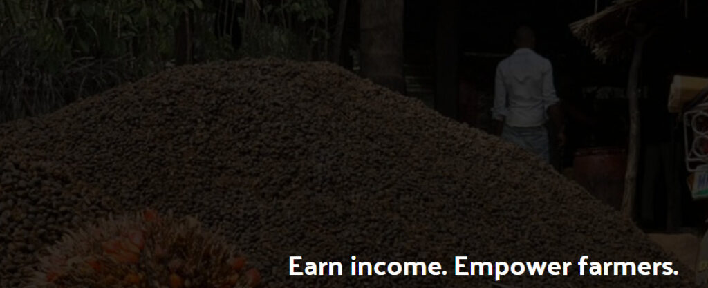 Agtech Startup Releaf to improve growth and sustainability of palm oil production